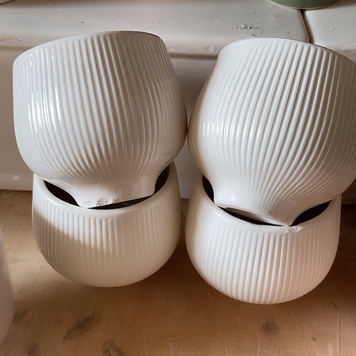 本以为是三分热度，却是十分喜欢