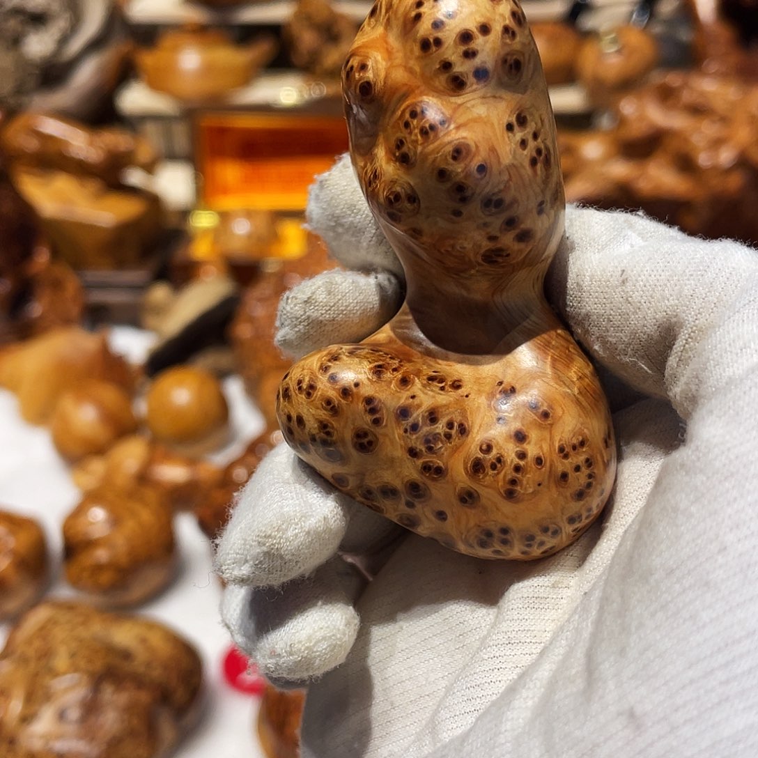 叶***森柏木（崖柏）太行崖柏