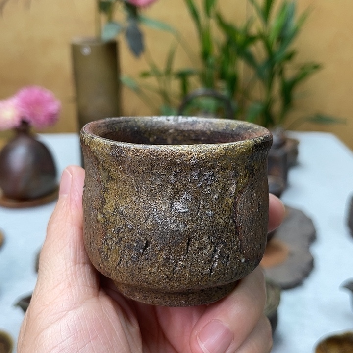 岩本修一的主人杯好