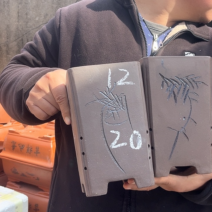 紫砂紫砂花盆盆栽