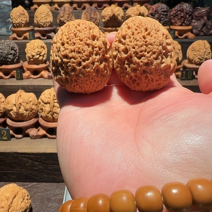 核桃经典名款罗汉头龟背45尺