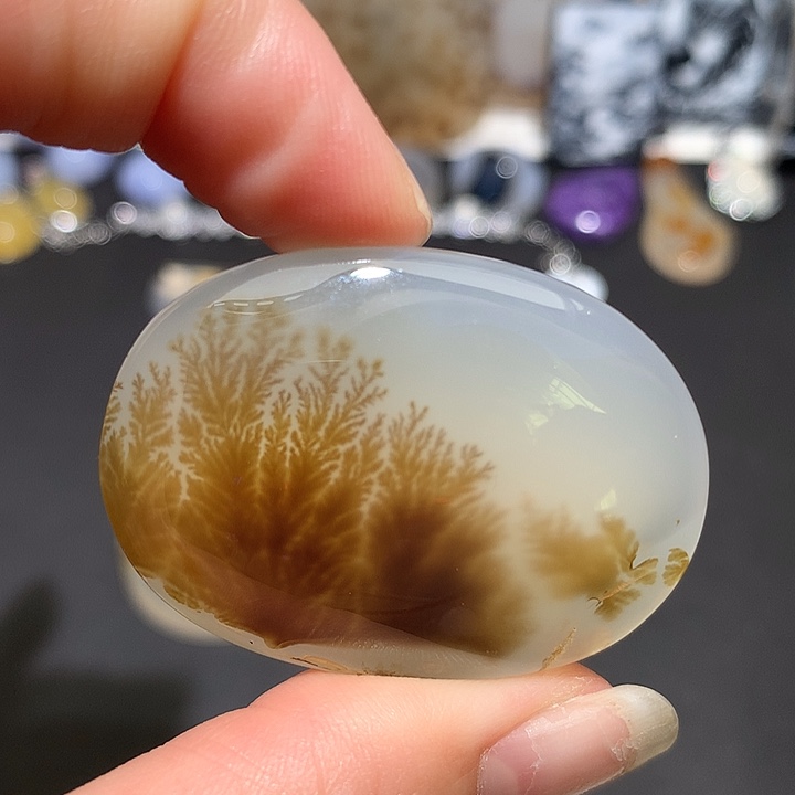 未镶嵌玛瑙/玉髓珠宝奇石