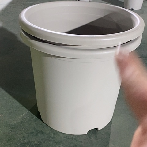 树脂四季9号灰白无托4个微瑕