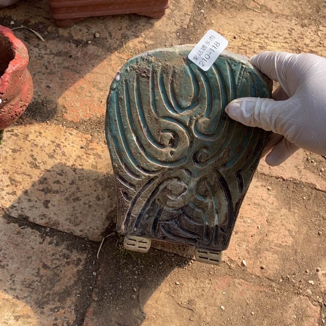 谁****钱118号多肉盆一个呀