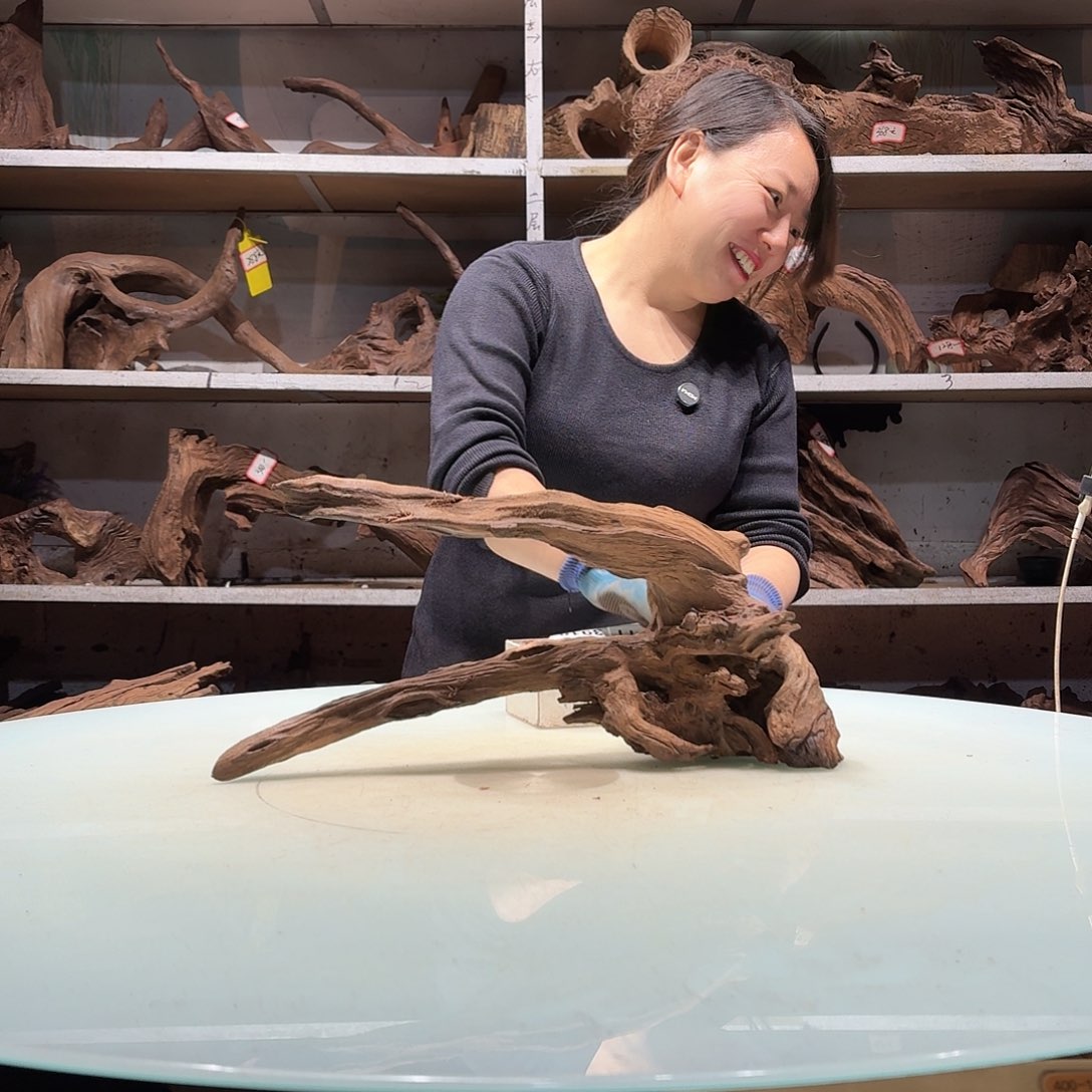 紫砂紫柚镂空不包损畲***族3890