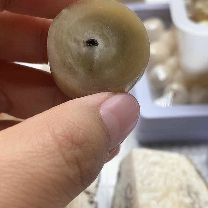 贝壳手串/手链社会牛切片