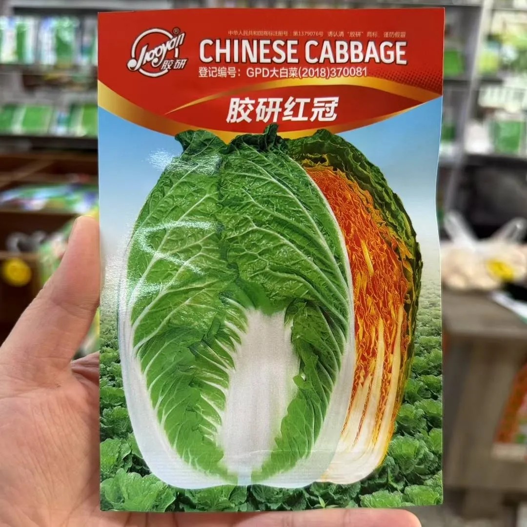 胶研红冠橘红心大白菜种子耐高温新款