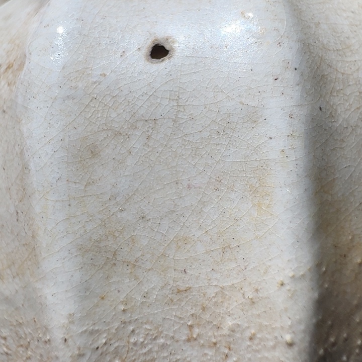 顽***主瓷片666688888888888888