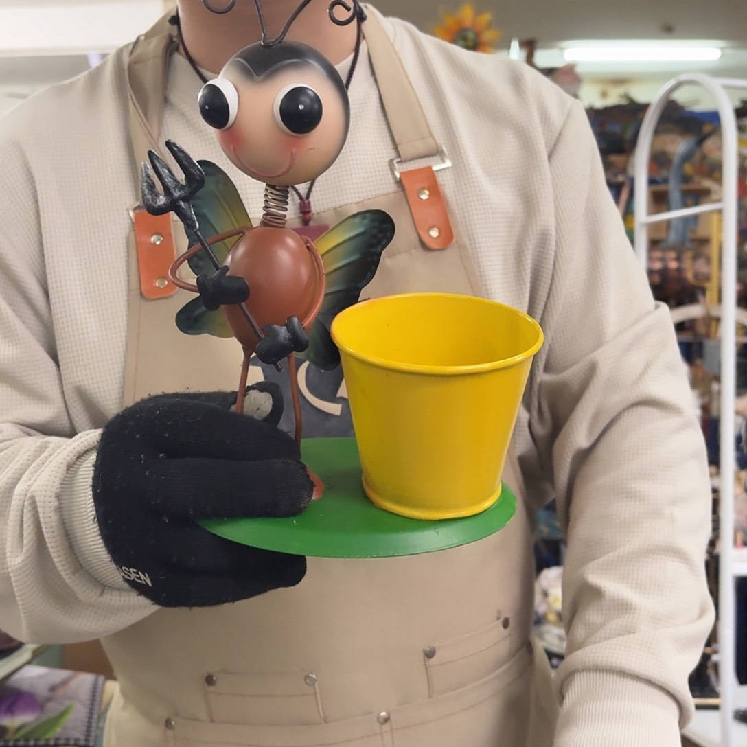 核桃木/黑胡桃（胡桃木）