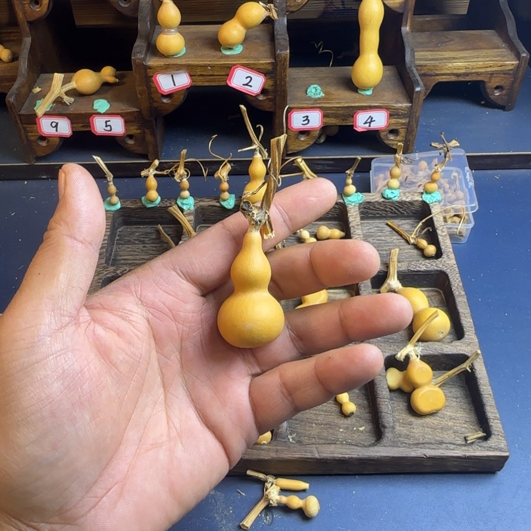 七*吖我是一只小小鸟地域鬼的人生态度