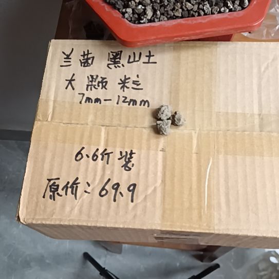 @***谷兰菌黑山土大颗粒6.6斤