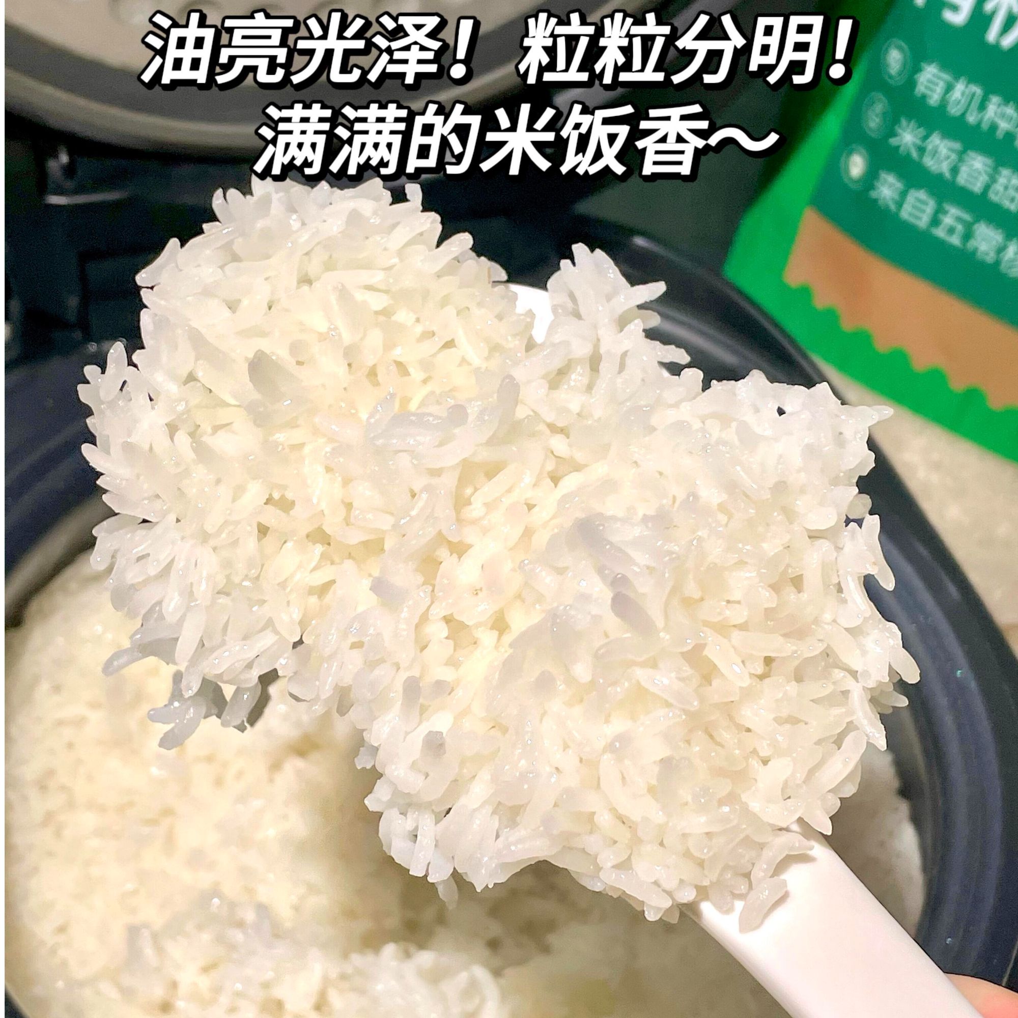 盛京大斗高端大米500克精装