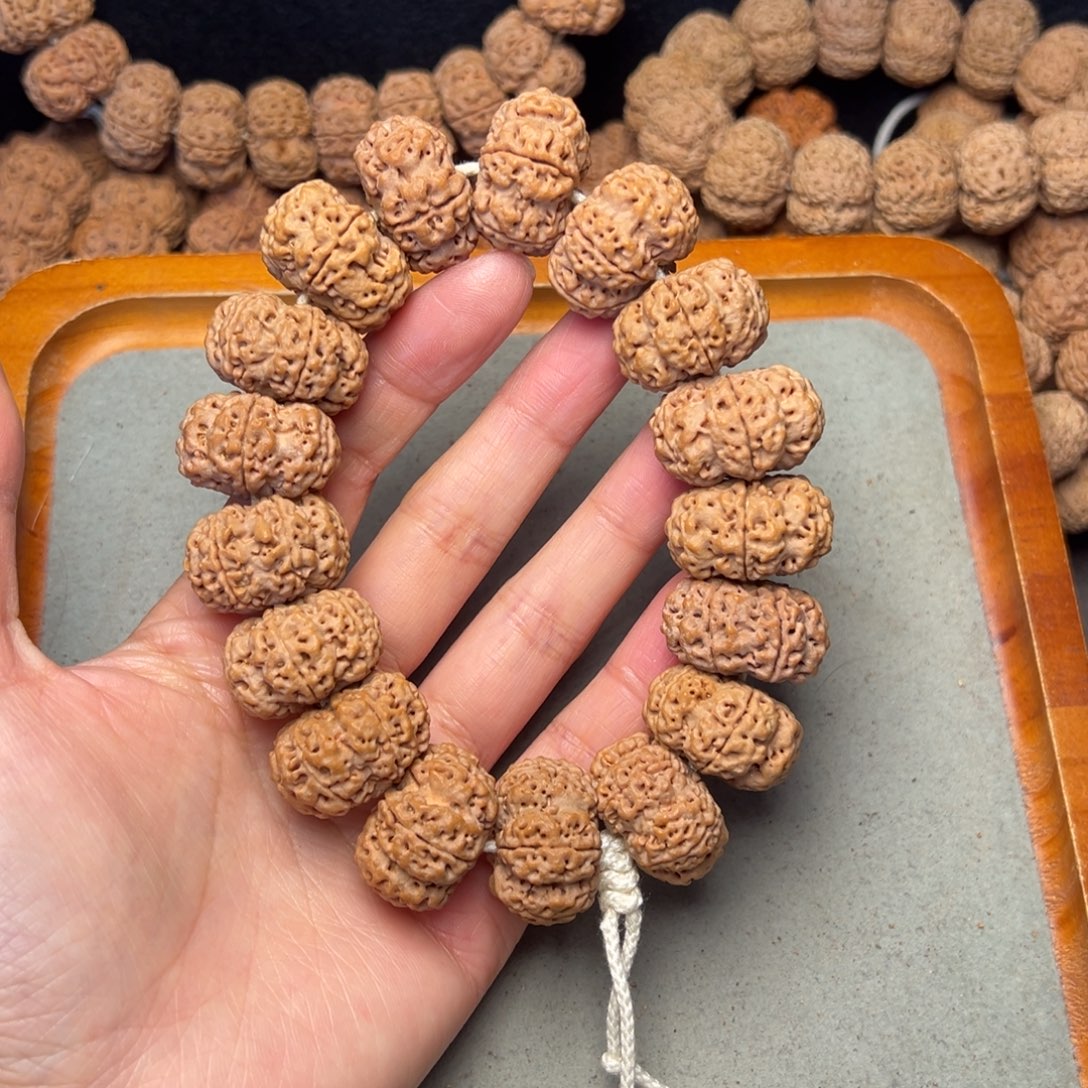 菩提24号金刚菩提六瓣夹板25