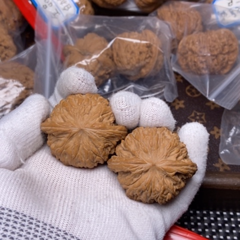 文玩核桃把件左*子磨盘44