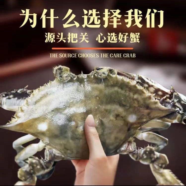【冻蟹】顺丰冷链三斤装3-4两每只正宗东海野生梭子蟹公蟹海捕大飞蟹8-10只每只3两左右