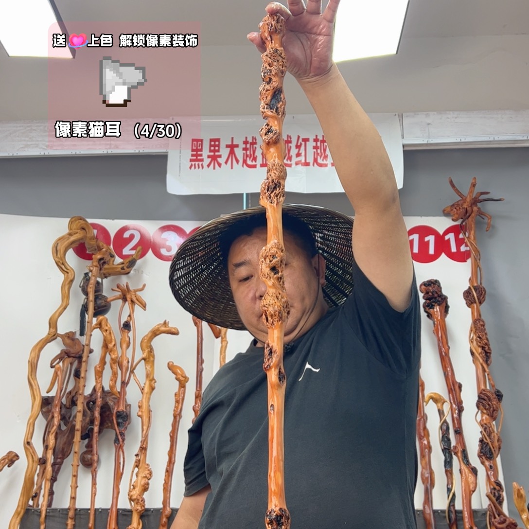 自****黑果木其他黑果木108