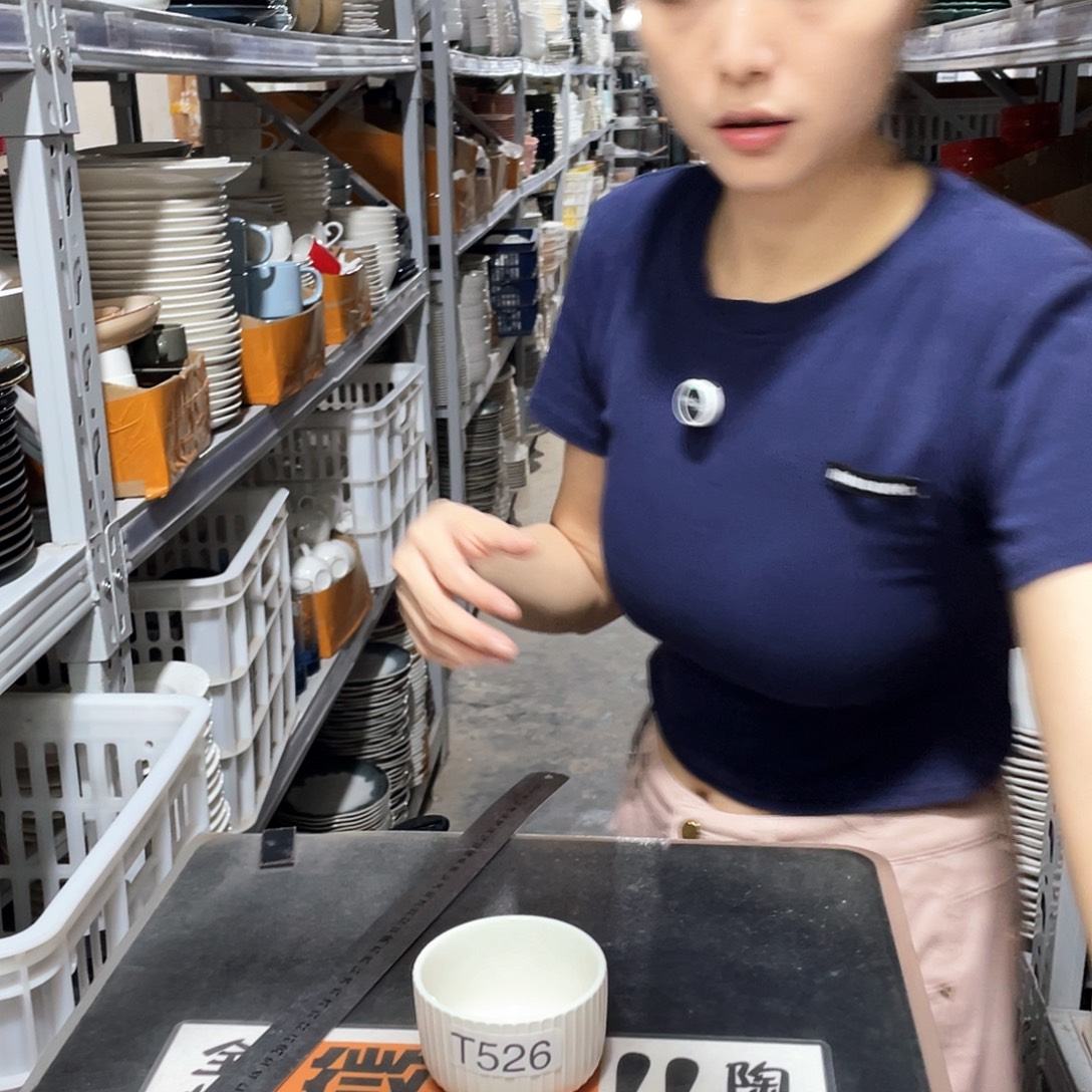 瓷片444           6个