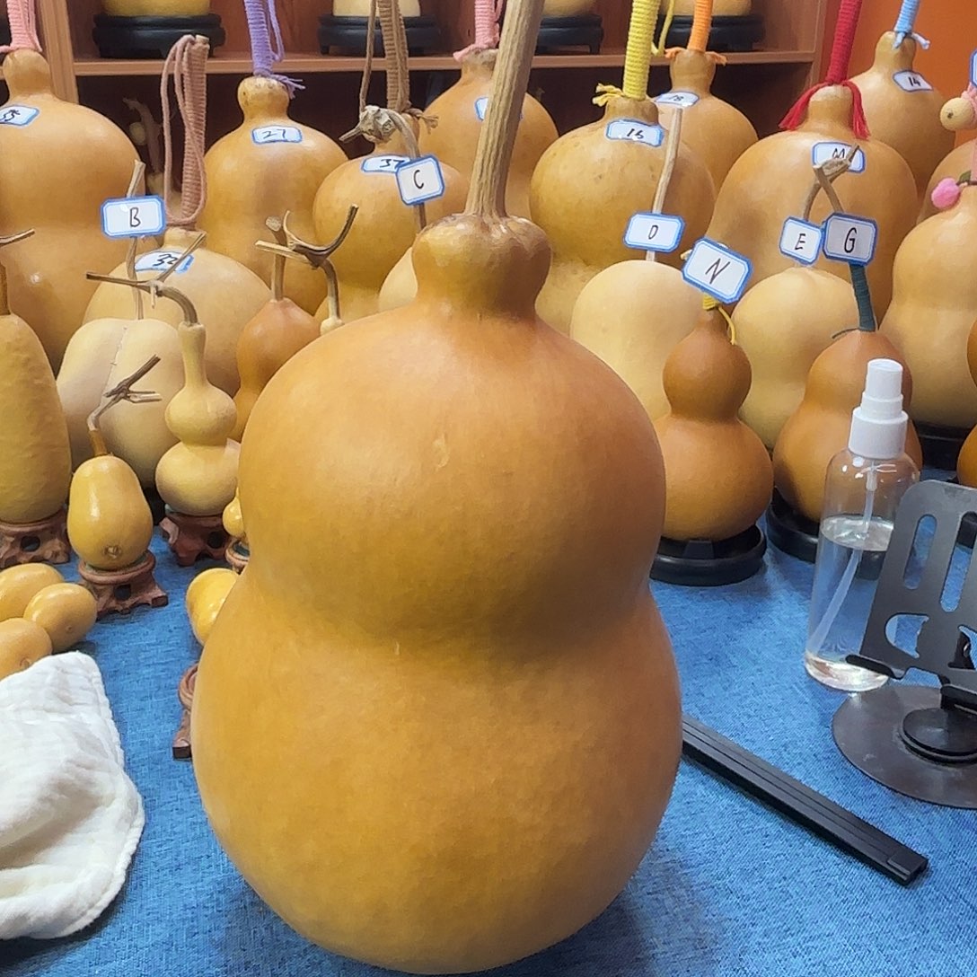 云***初葫芦葫芦葫芦葫芦