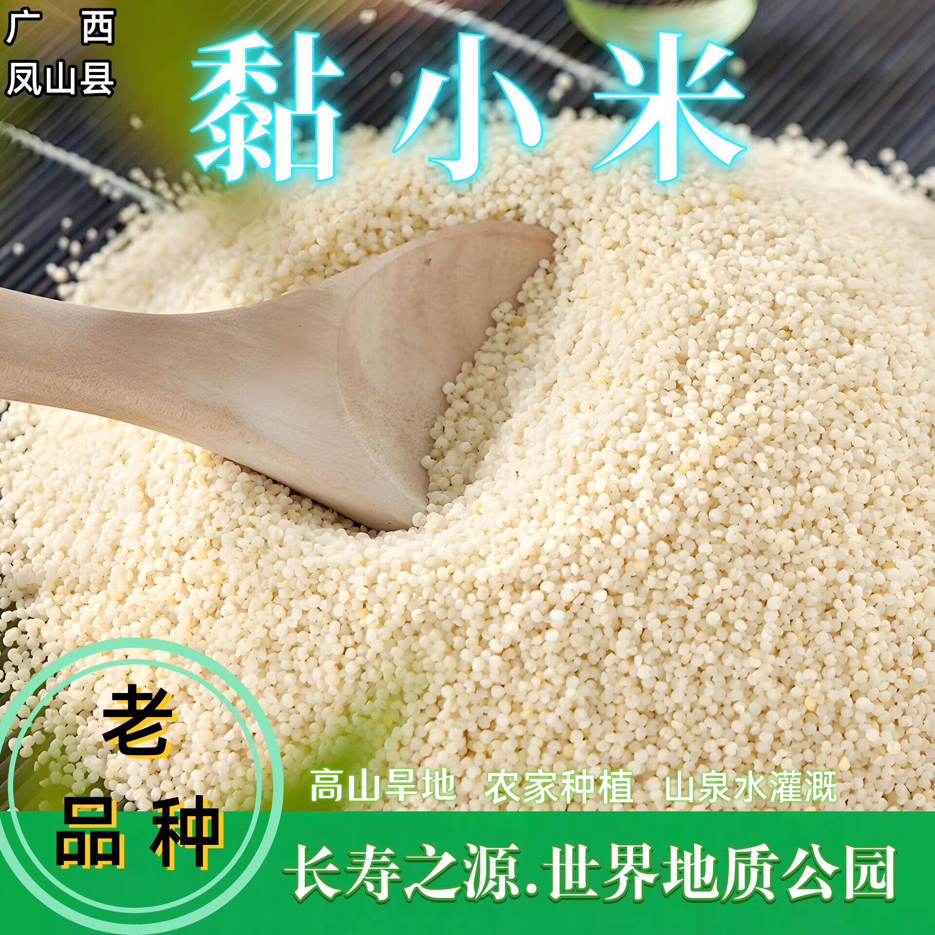 （新）古老品种粘小米凤山长寿之源世界地质公园高山农家种植