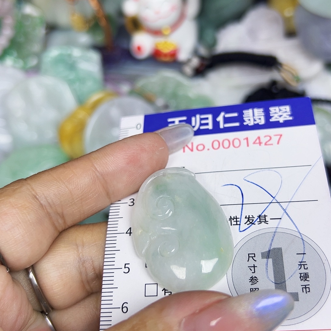 翡翠未镶嵌吊坠(不含链)211