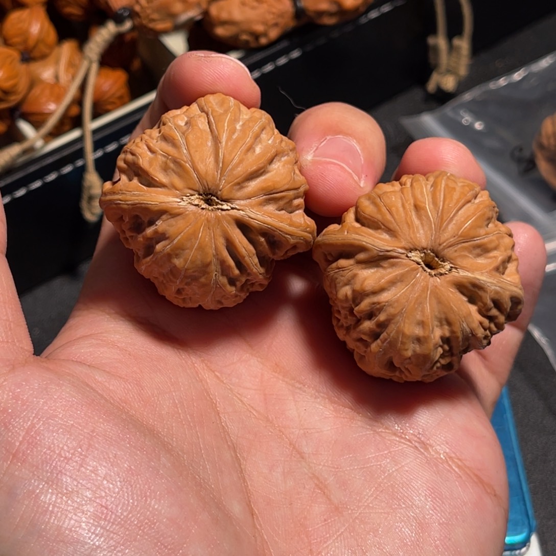 幺***一39原桩铁锤哥哥尖小黄点