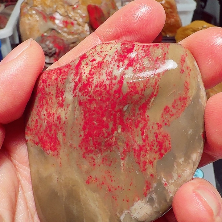 用***户昌化石印石昌化鸡血石