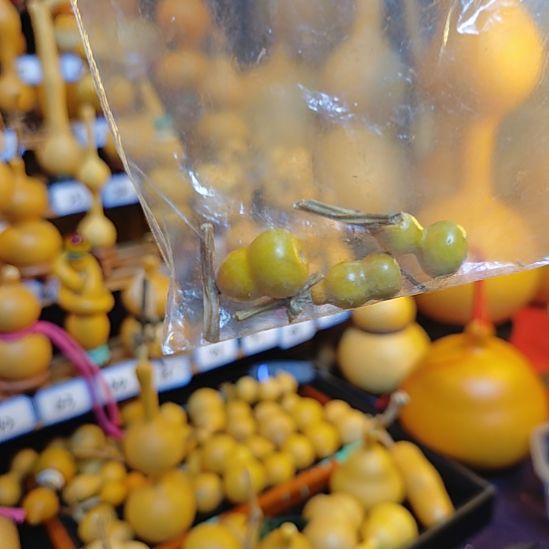 好***好葫芦草里金把把正的吗？？？