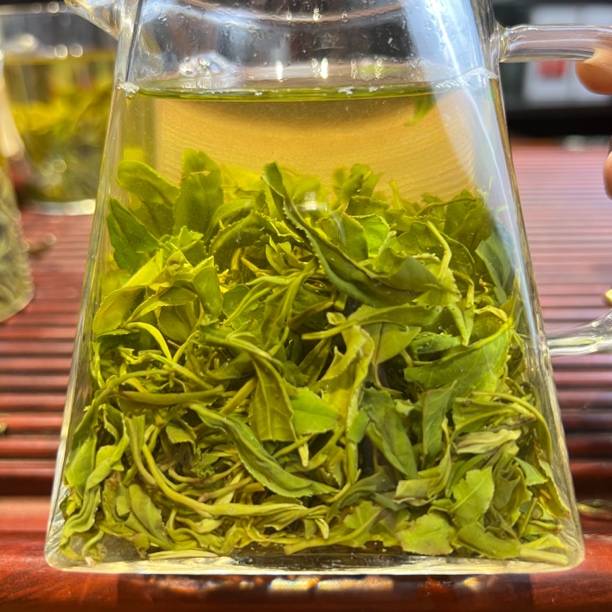 ［99春绿茶］A沁禧春2025日照绿茶春茶