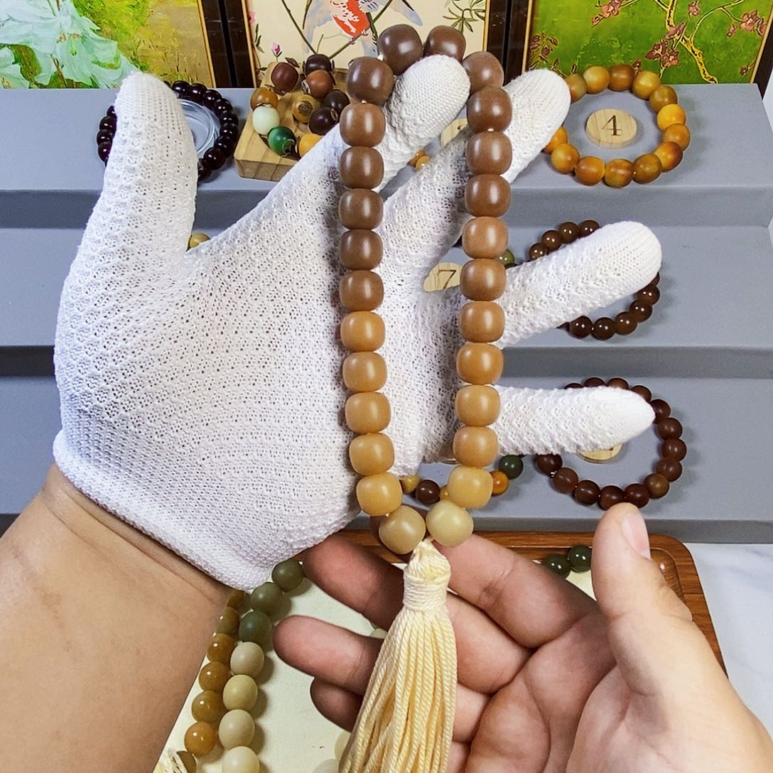 y****吊坠菩提根/象牙果