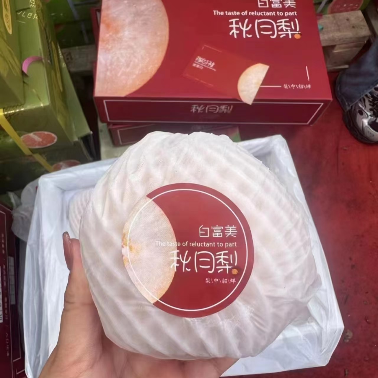 白富美秋月梨中果一箱六个毛重五斤左右