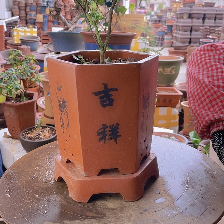 紫砂宜兴紫砂红如意六方加拖小