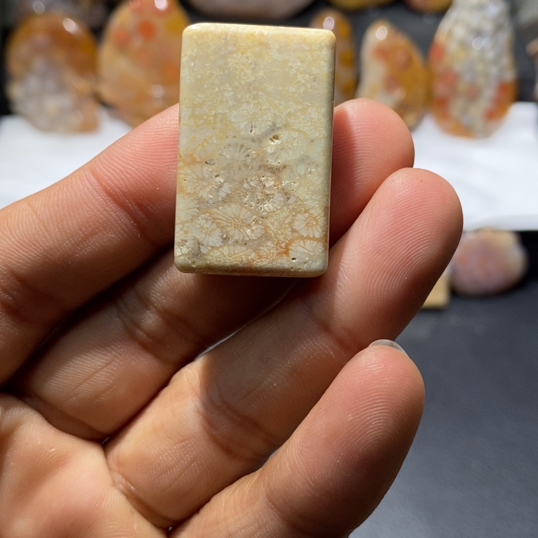 【闪购商品】硅化玉颈饰未镶嵌