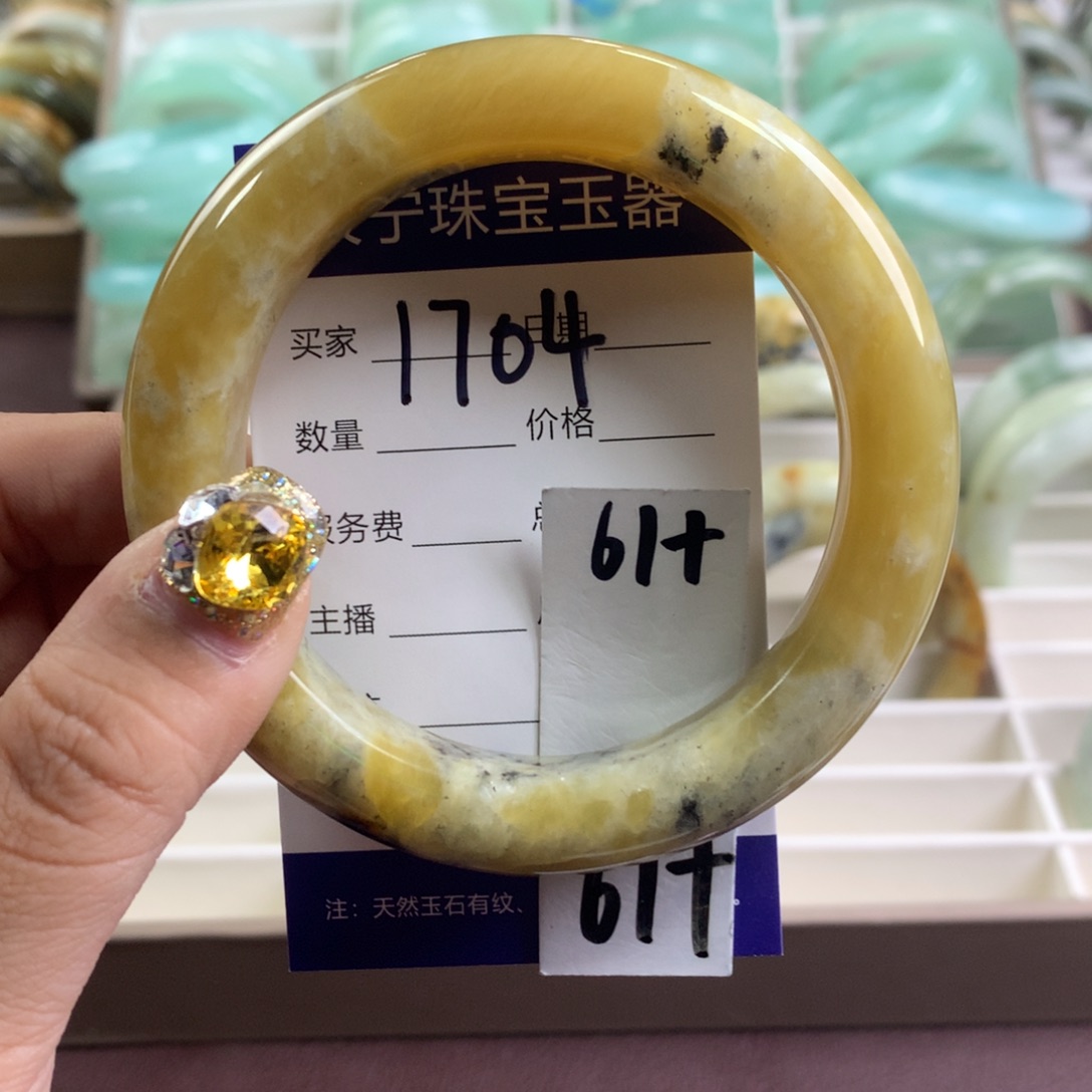 蛇纹石玉手镯未镶嵌1704