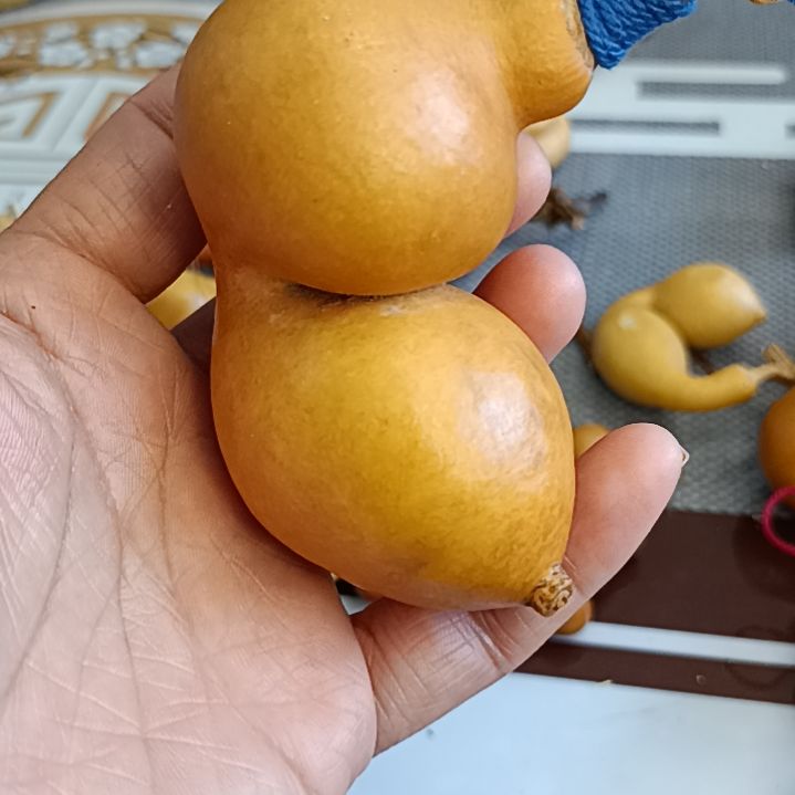 爱*惠葫芦葫芦葫芦葫芦葫芦葫芦