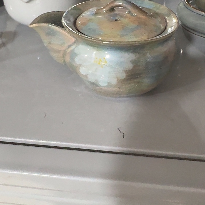 主人杯一个，瓷。。。。