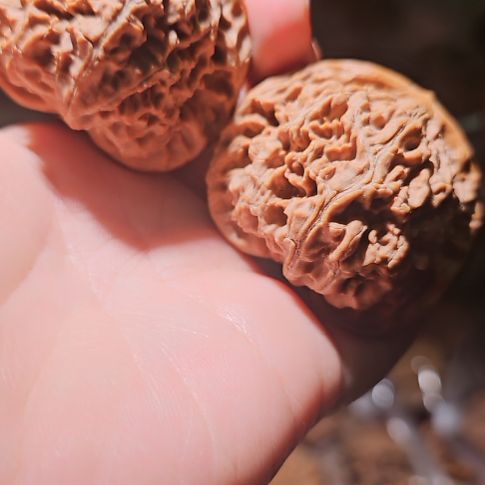 奥***斯文玩核桃吊坠48水龙文