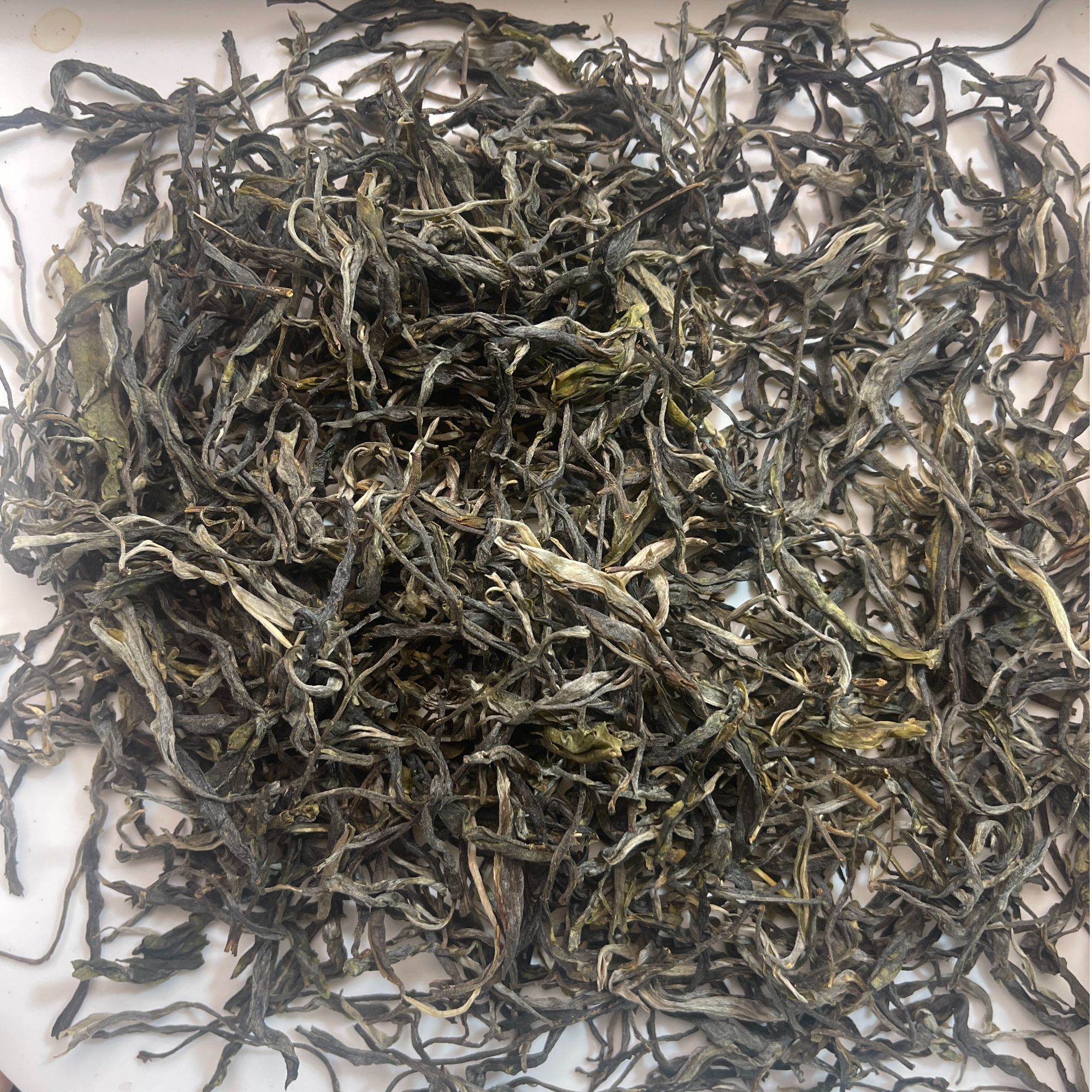 6月22日 25年帕莎犀牛塘单株普洱茶 生茶散茶 A021号