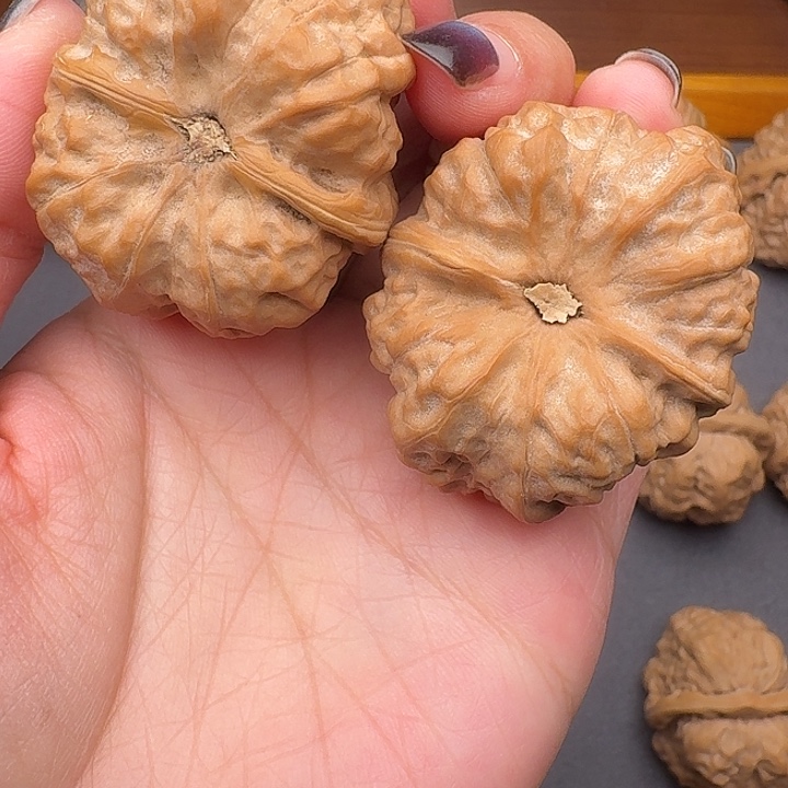 星***辰39尺文玩核桃蛤蟆头