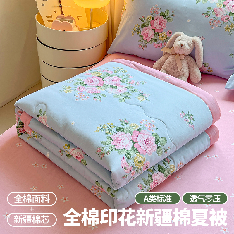 2025新款A类全棉印花夏被四件套夏凉被棉花被 透气机洗空调被