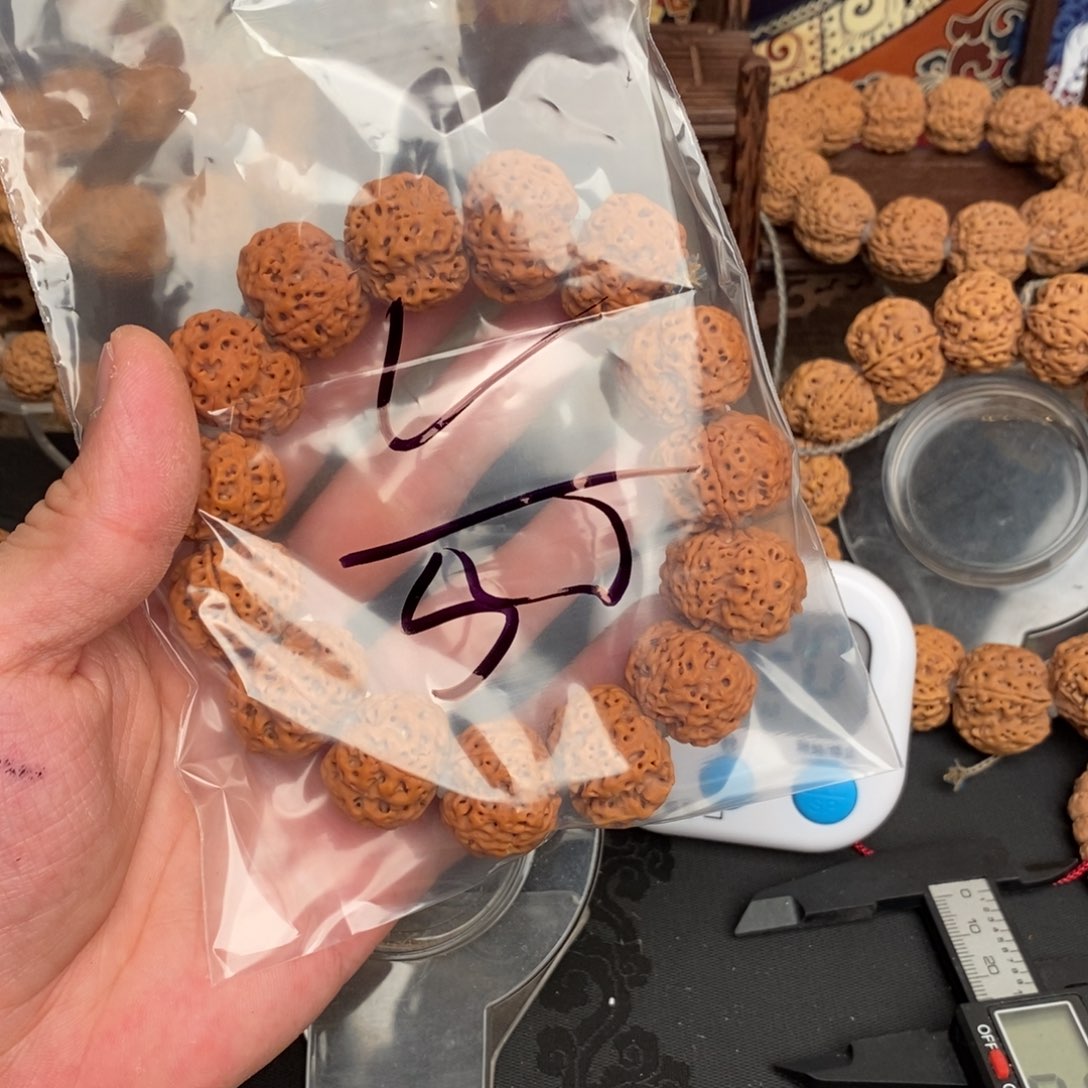 金刚菩提吊坠L*森55啊啊啊啊啊啊