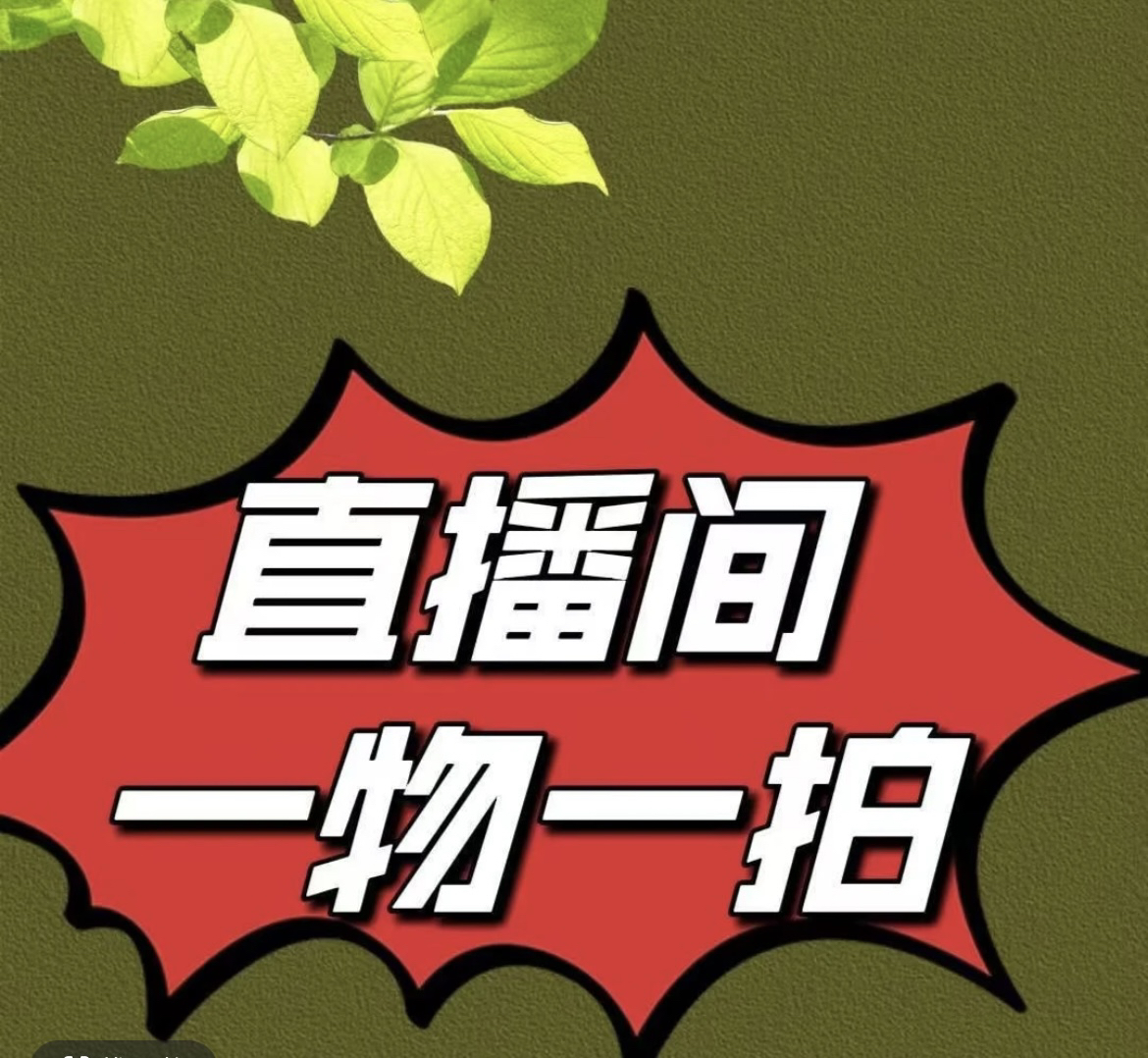 一物一拍耐寒抗寒嫁接盆栽地栽