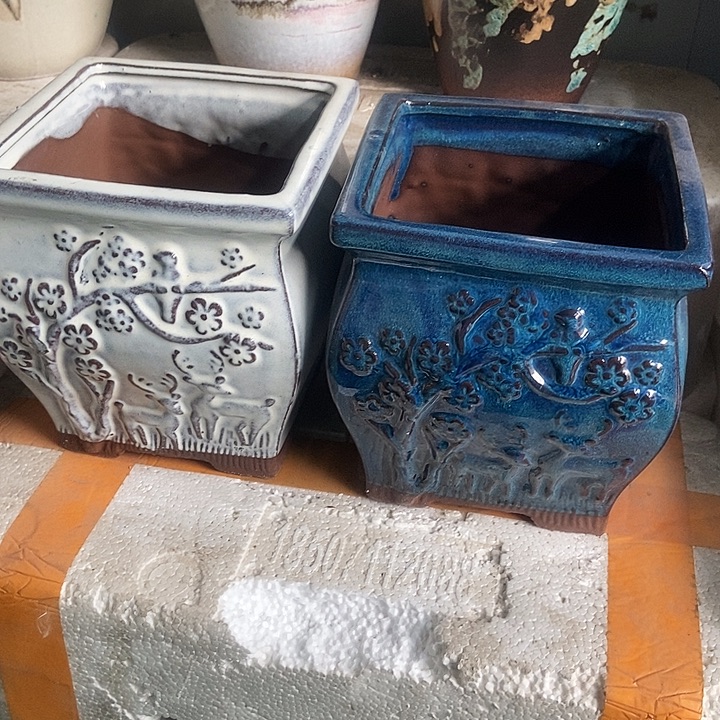 红糖15。。。。16。。。。。。。。