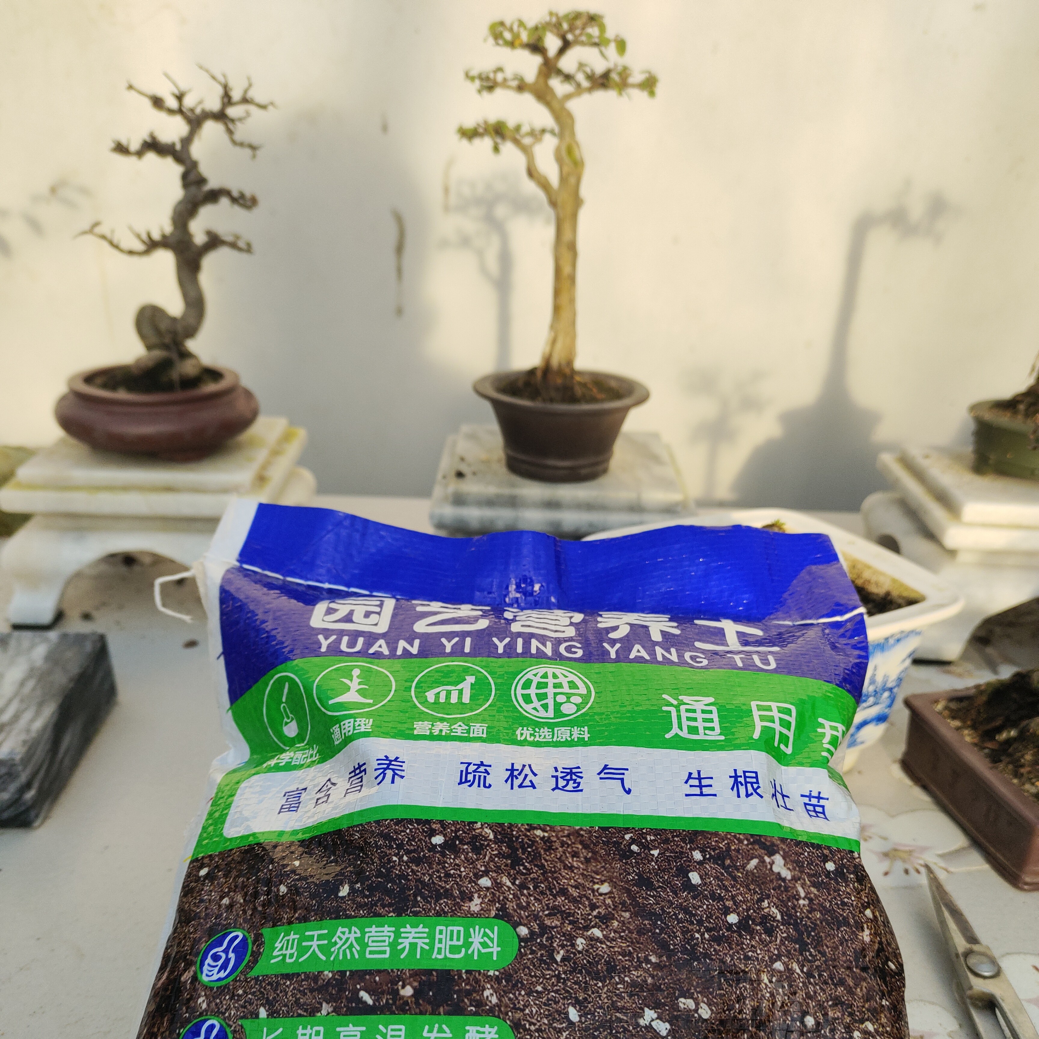 （4.95斤）润沐花卉盆景绿植多肉通用型有机透气营养土