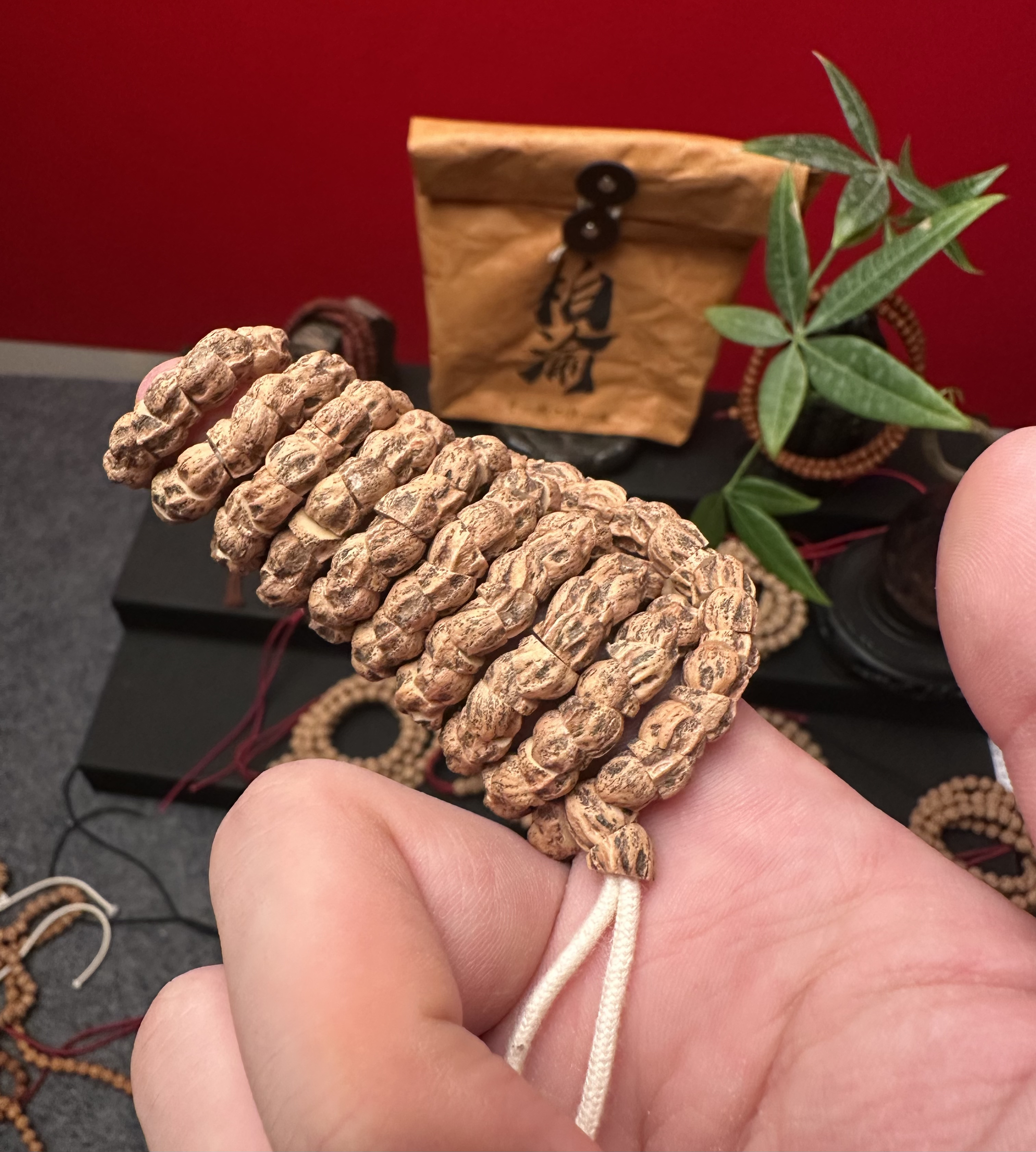 【寻一柏 伴一生】热振九转鬼肠 超精工定制级贴合度