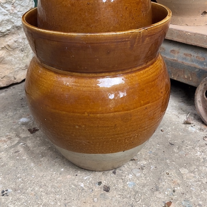 无花朵玫瑰花鲜花鲜花盛开鲜花