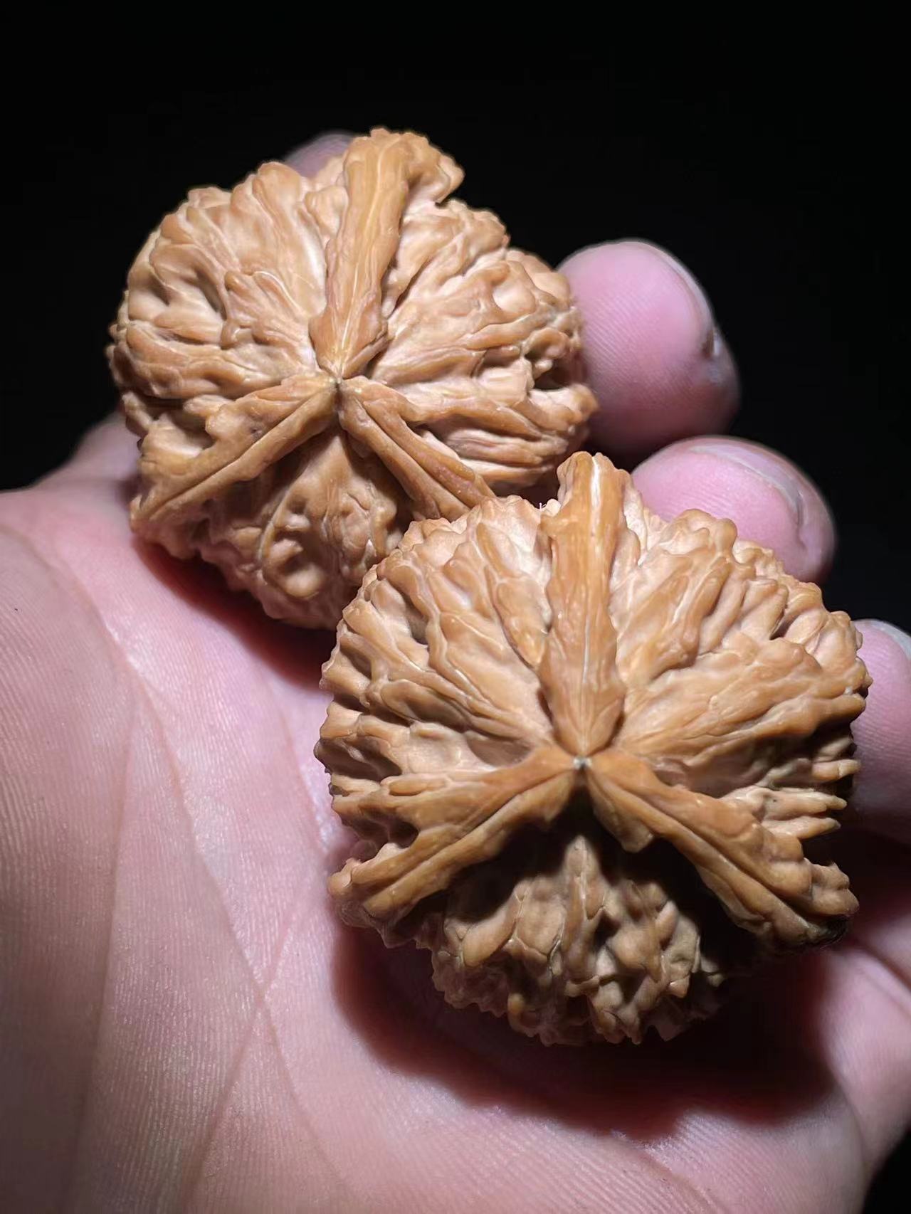 精品文玩核桃大粗筋狮子头手把件可盘玩