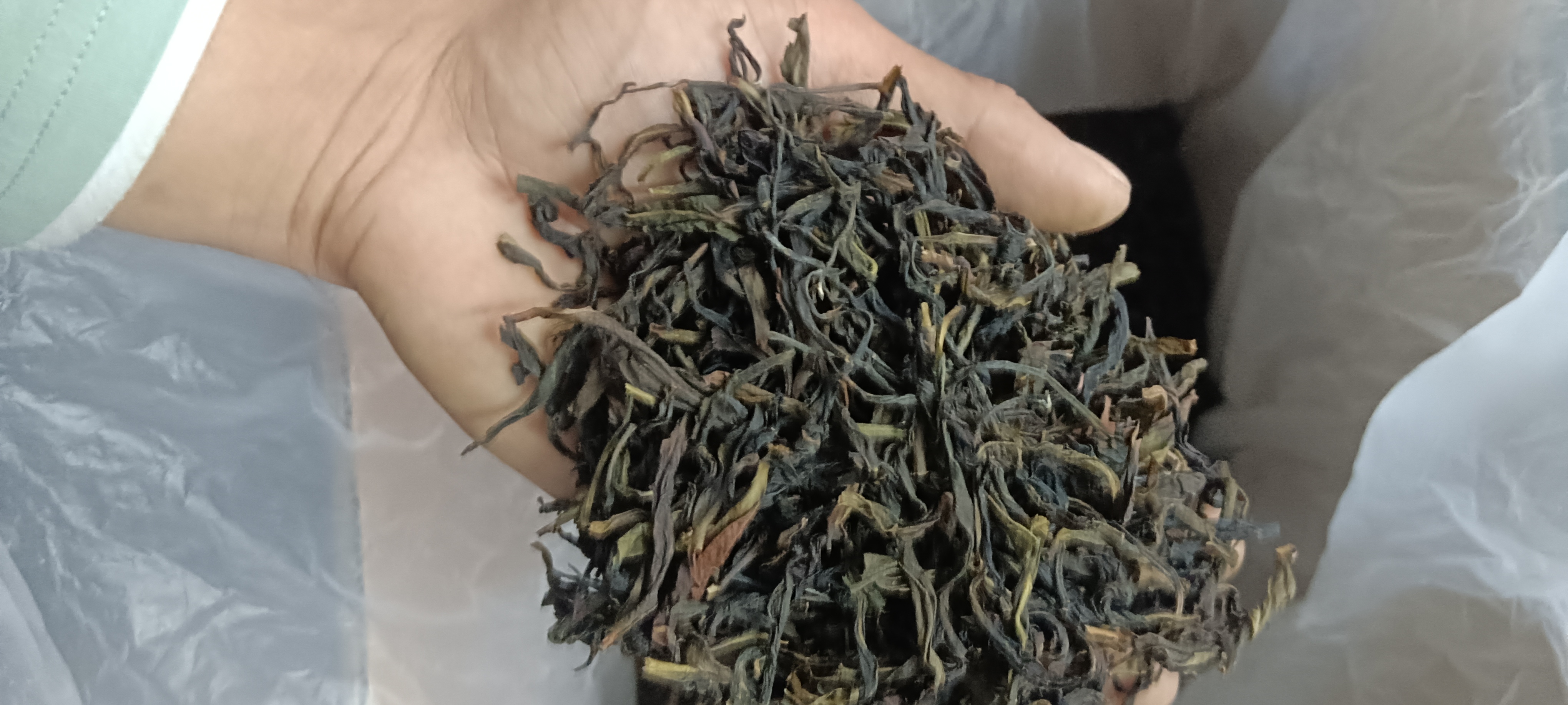 原产地单丛茶 大乌叶熟香型味道非常好