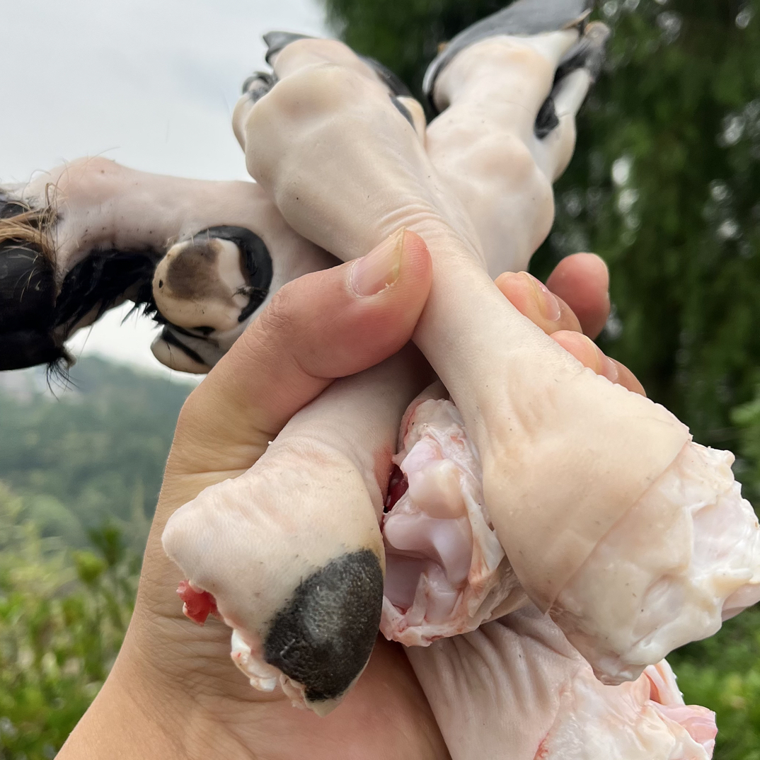 【跑山羊蹄子4个+羊头1个】（分割后不退换）