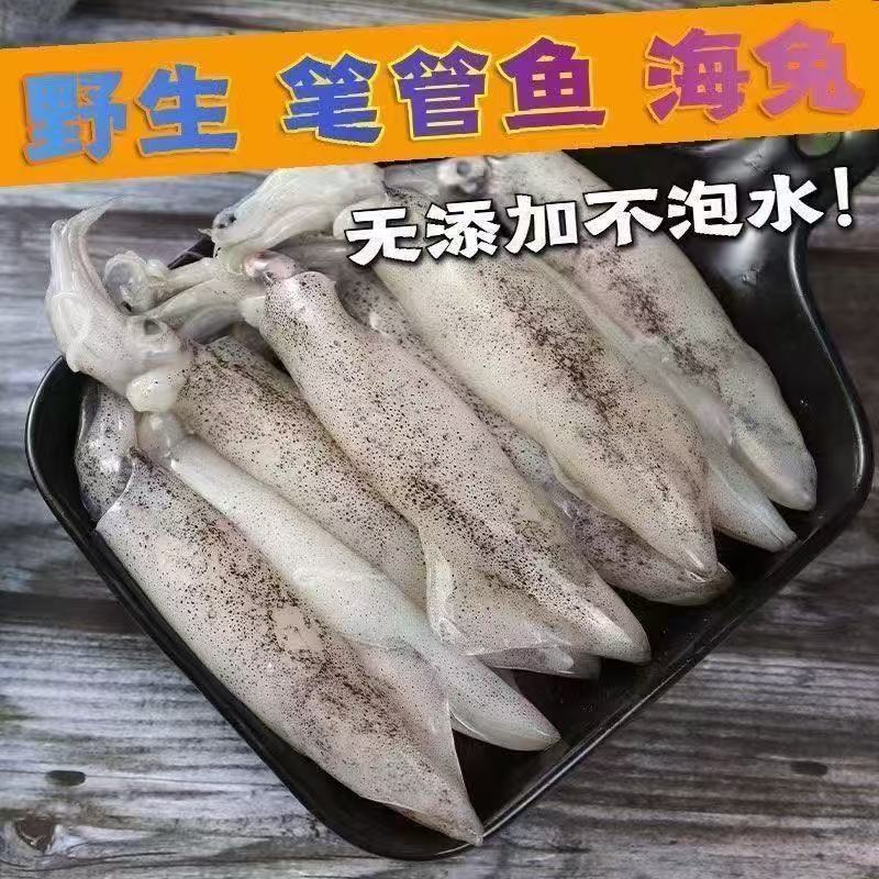 【4斤】新鲜速冻笔管鱼海兔一斤10-16条顺丰发货