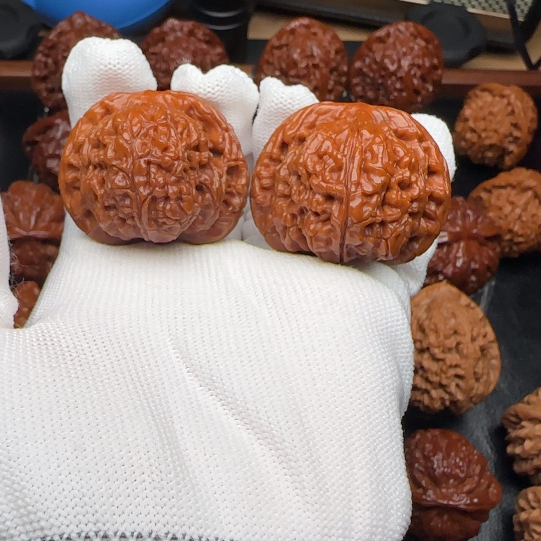 小冉核桃全品望月40